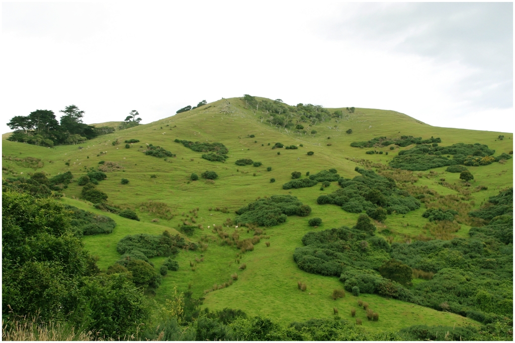 04 - Presqu'ile d'Otago (27).jpg